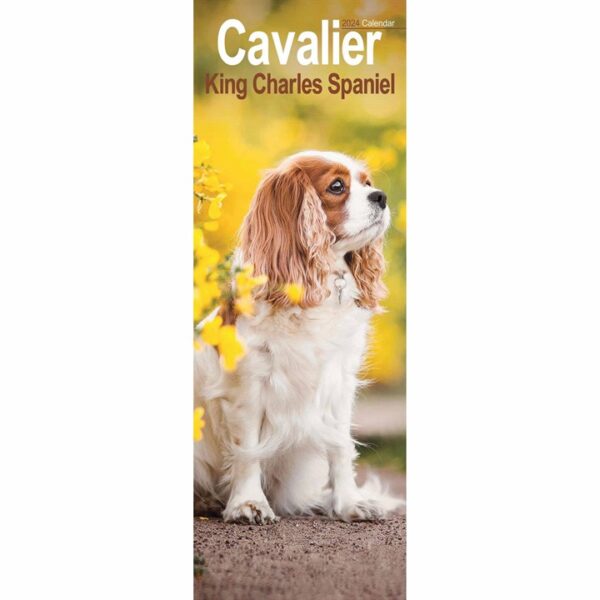 Cavalier King Charles Spaniel Slim Calendar 2024