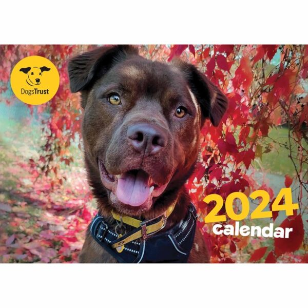 Dogs Trust A4 Calendar 2024