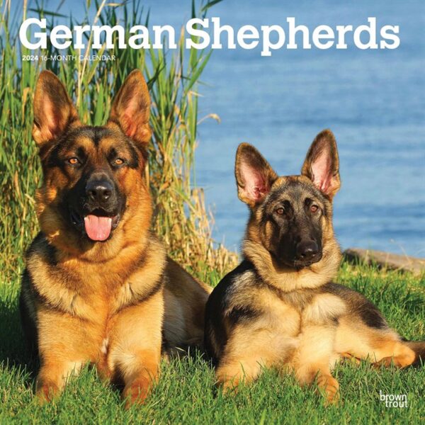 German Shepherds Calendar 2024