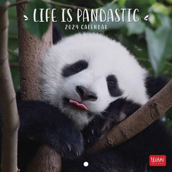 Life is Pandastic Mini Calendar 2024