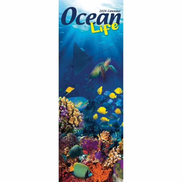 Ocean Life Slim Calendar 2024