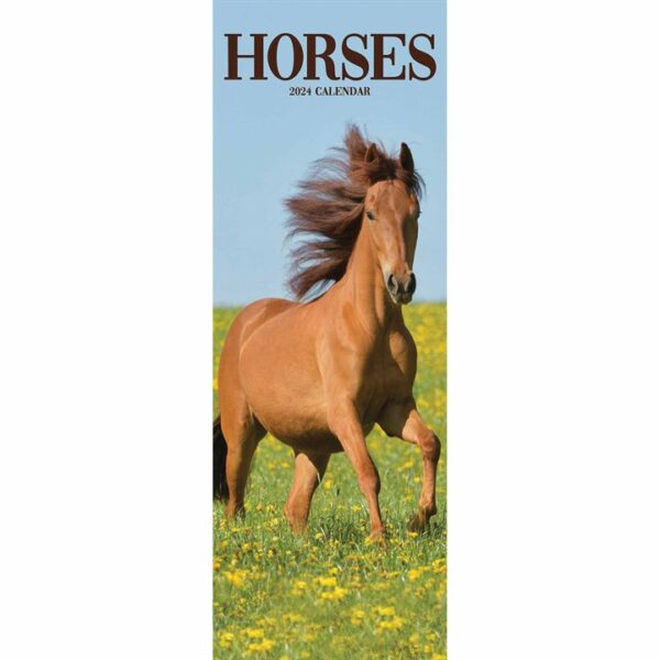 Horses Slim Calendar 2024