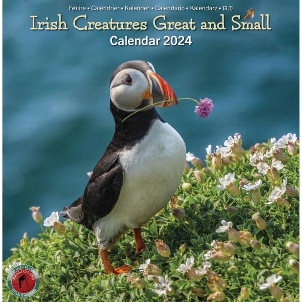 Irish Creatures Great & Small Mini Calendar 2024