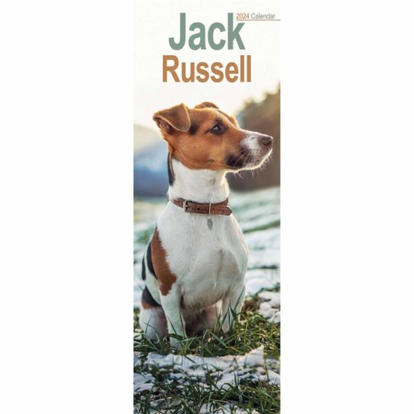 Jack Russell Slim Calendar 2024