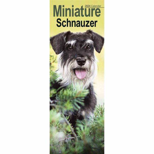 Miniature Schnauzer Slim Calendar 2024