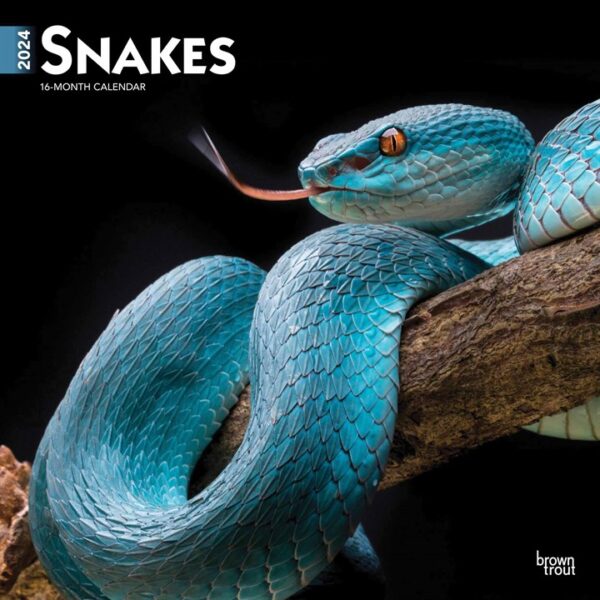Snakes Calendar 2024