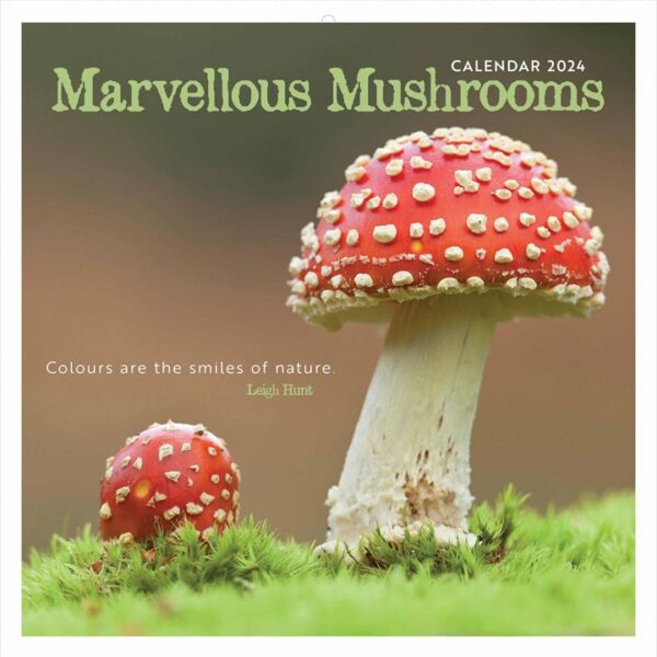 Marvellous Mushrooms Calendar 2024